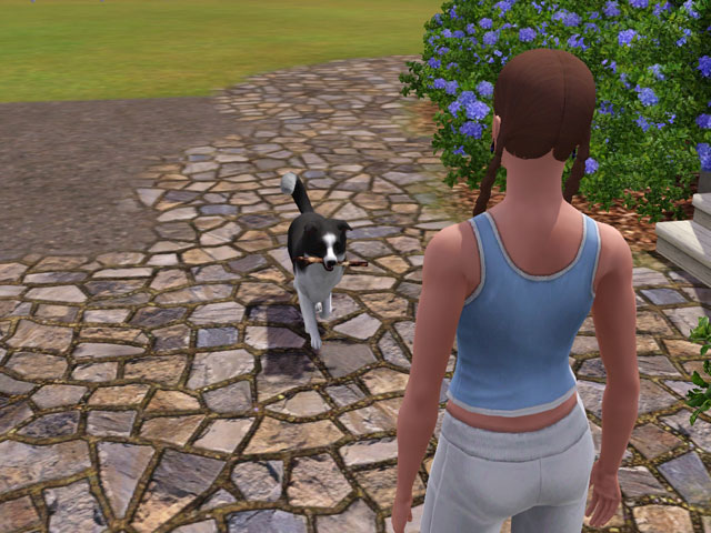 Sims 3: Заведите себе питомца, и игра перестанет казаться вам слишком простой, ведь домашние любимцы требуют очень много внимания. 