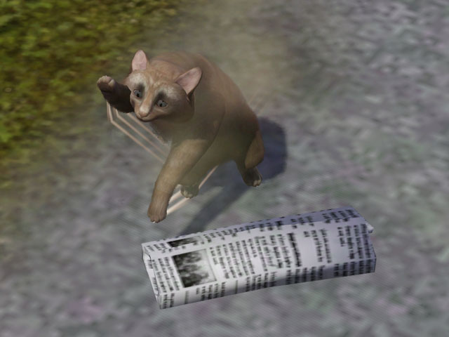 Sims 3: Привыкайте забирать утреннюю газету до того, как ее раздерет в клочья какая-нибудь бродячая кошка, собака или енот.