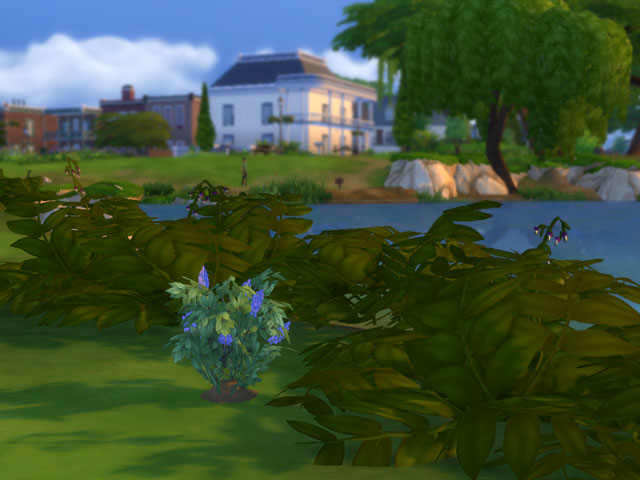 Sims 4: Цветущий куст гиацинта.