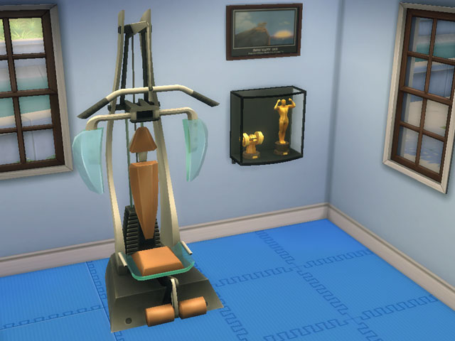 Sims 4: Карьерные награды культуриста: ковер «Без пота и без пыли», тренажер «Дзен-спорт», картина с мышью и два кубка.