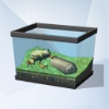 Sims 4: Песчаная лягушка с волнообразными полосками