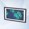 Sims 4: Планктон с обручем