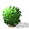 Sims 4: Куст лекарственной травы или специи