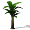 Sims 4: Пальма