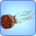 Sims 3: Медуза