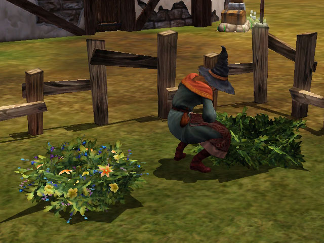 Sims Medieval: Прежде чем собрать лекарственные растения, нужно их обнаружить.