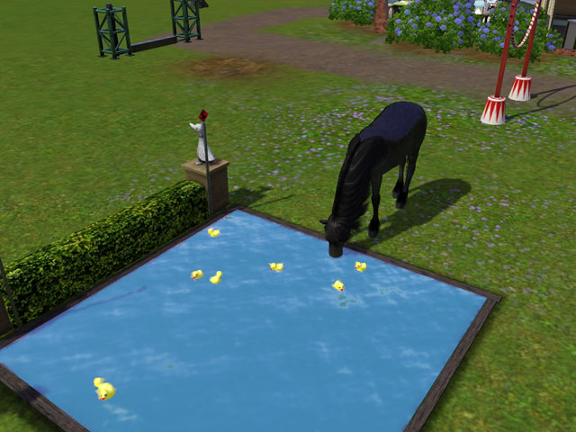 Sims 3: Некоторым лошадям больше нравится пить воду из водных препятствий, чем прыгать через них.