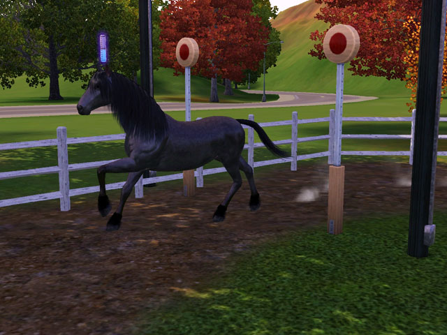 Sims 3: Если трасса из тренировочных шестов есть на домашнем участке, лошади часто будут работать над навыком самостоятельно.