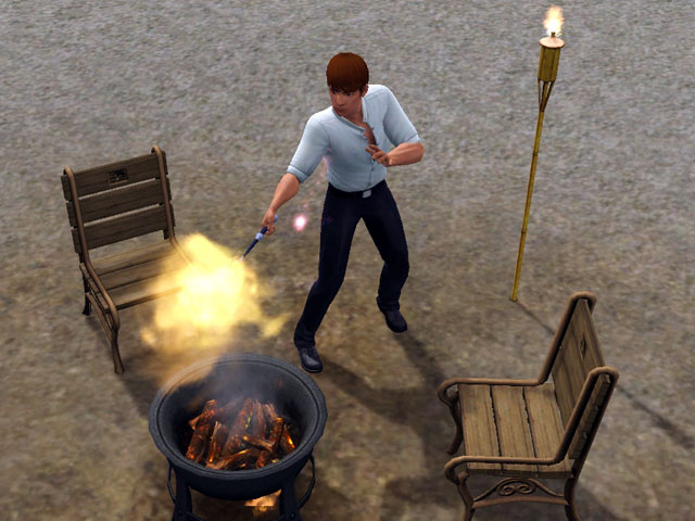 Sims 3: Ведьмы даже огонь в камине разводят с помощью волшебной палочки.