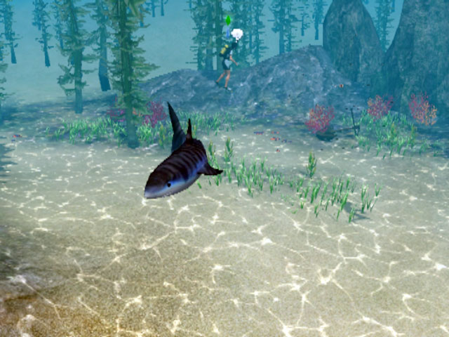 Sims 3: Акулы портят немало крови аквалангистам.