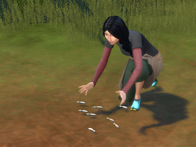 Sims 4: В походе персонажи могут ловить насекомых.