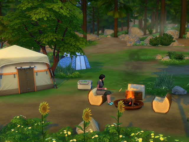 Sims 4: В информационной будке можно купить все необходимое для организации лагеря.