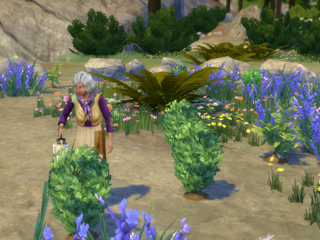 Sims 4: Дикими растениями можно отравиться.