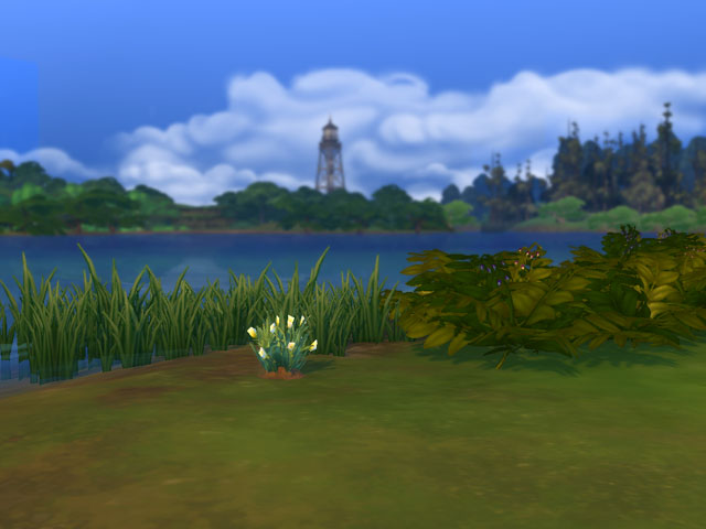 Sims 4: Цветущий куст лилии.