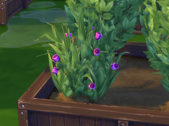 Sims 4: Цветущий куст тюльпана.
