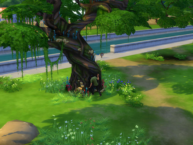 Sims 4: Особое дерево, ведущее в Силван Глейд.