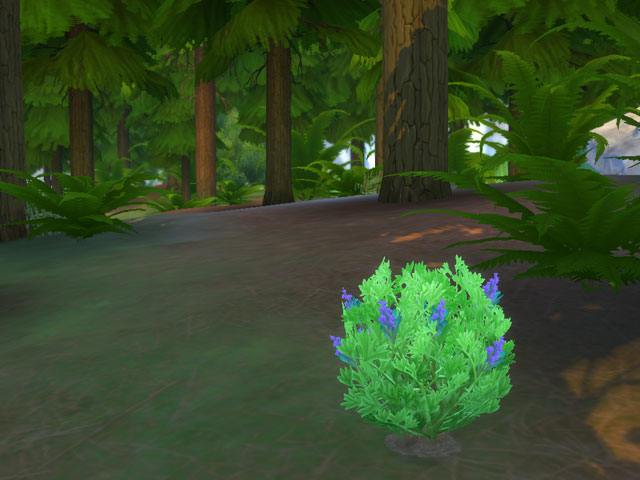 Sims 4: Куст шалфея в Гранит Фоллз.