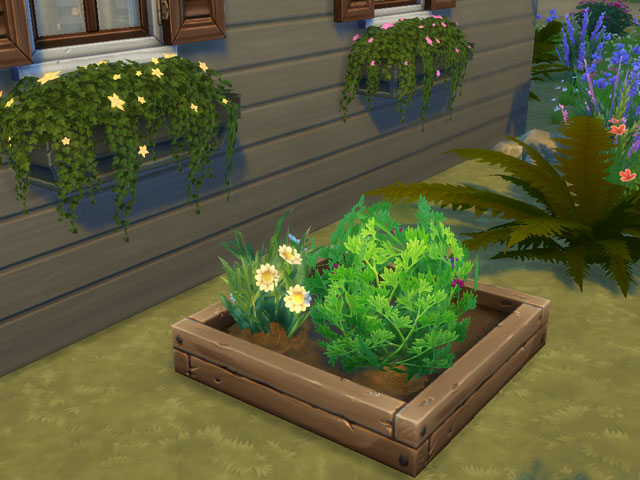 Sims 4: Кусты дикой ромашки и ежевики в Гранит Фоллз.