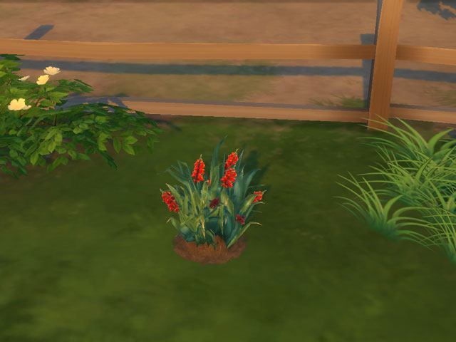 Sims 4: Цветущий куст львиного зева.