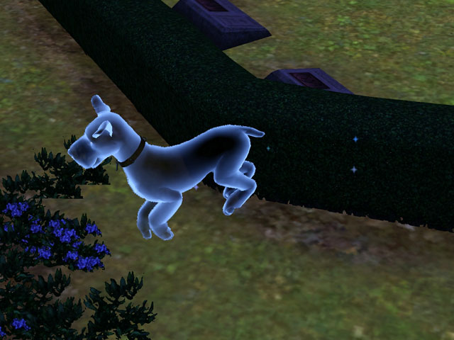 Sims 3: Синий призрак домашнего питомца. 