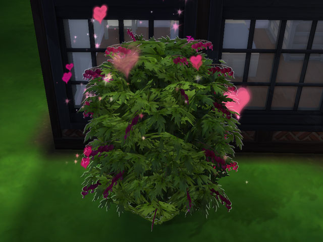 Sims 4: В особых кустах, растущих в Винденбурге, можно заниматься разными интересными вещами.