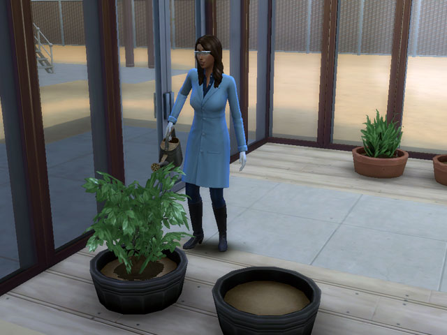 Sims 4: В лаборатории есть оранжерея, за которой нужно ухаживать.