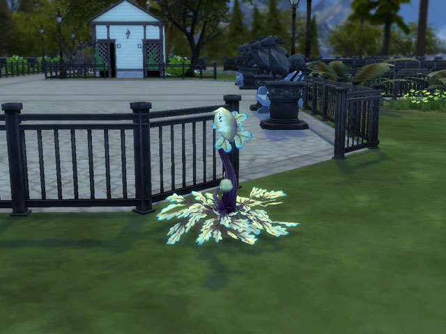 Sims 4: В Форготн Холлоу можно найти весьма необычные растения.