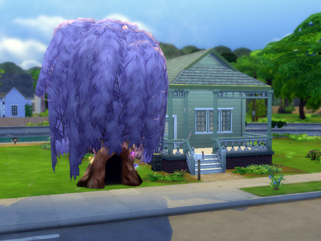 Sims 4: Из собранных бобов вырастет огромное волшебное дерево.