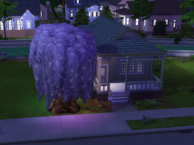 Sims 4: Ночами крона дерево красиво мерцает.