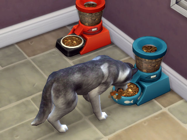 Sims 4: В дополнении появились предметы для ухода за питомцами.
