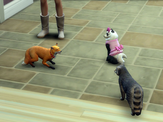 Sims 4: Питомцы могут выглядеть очень по-разному.