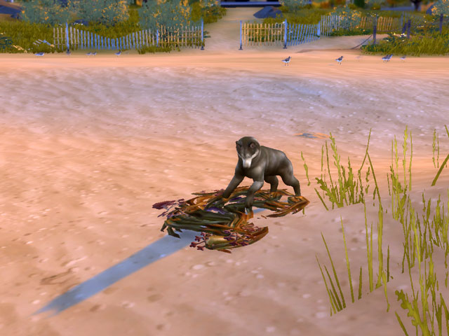 Sims 4: Собаки обожают искать «сокровища» в водорослях на пляже.