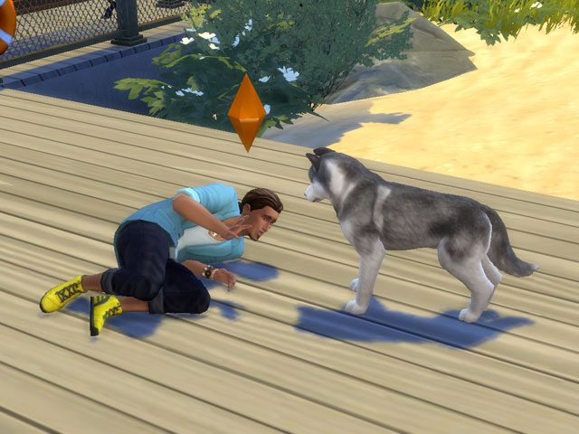 Sims 4: Собаки с удовольствием учат команды и разные трюки.