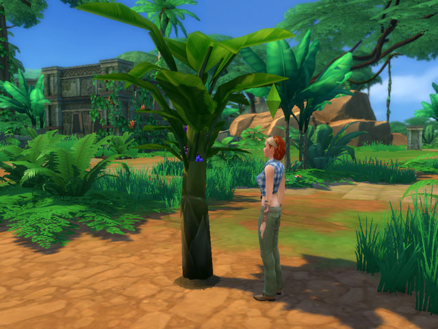 Sims 4: Деревья эмоций часто растут перед храмами.