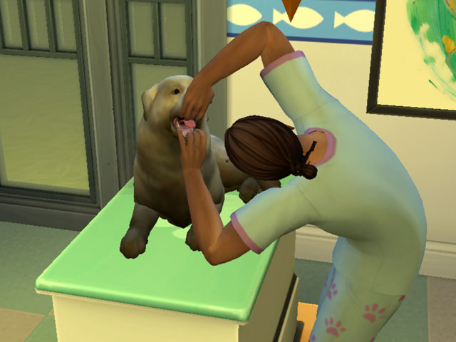 Sims 4: Опытный ветеринар не боится заглядывать в пасть даже самым крупным питомцам.