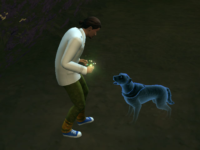 Sims 4: Лакомство с амброзией можно дать питомцу-призраку.