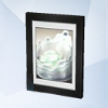 Sims 4: Фотография из Симстаграма «Выращенный в леднике салат “Айсберг”»