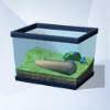 Sims 4: Гипнотическая лягушка