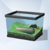 Sims 4: Песчаная лягушка со спиральным узором