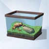 Sims 4: Лягушка с волнообразными полосками