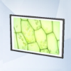 Sims 4: Расцвет дефектов