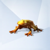 Sims 4: Золотая лягушка с йонкилистом и солнечными лучами