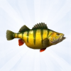 Sims 4: Желтый окунь