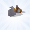 Sims 4: Экзотическая золотая рыбка