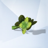 Sims 4: Базилик