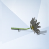 Sims 4: Маргаритка (ромашка)