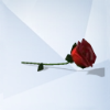 Sims 4: Роза
